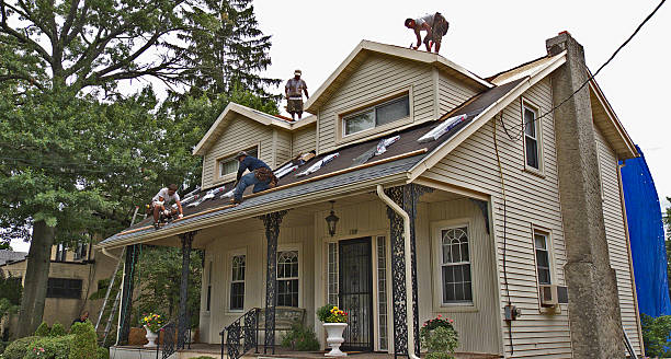 Best Roof Leak Repair  in Olga, FL