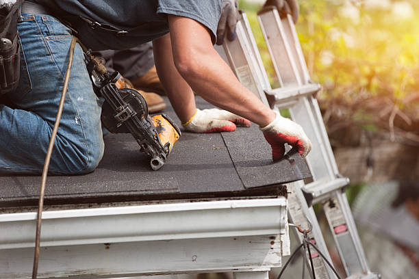 Best New Roof Installation  in Olga, FL